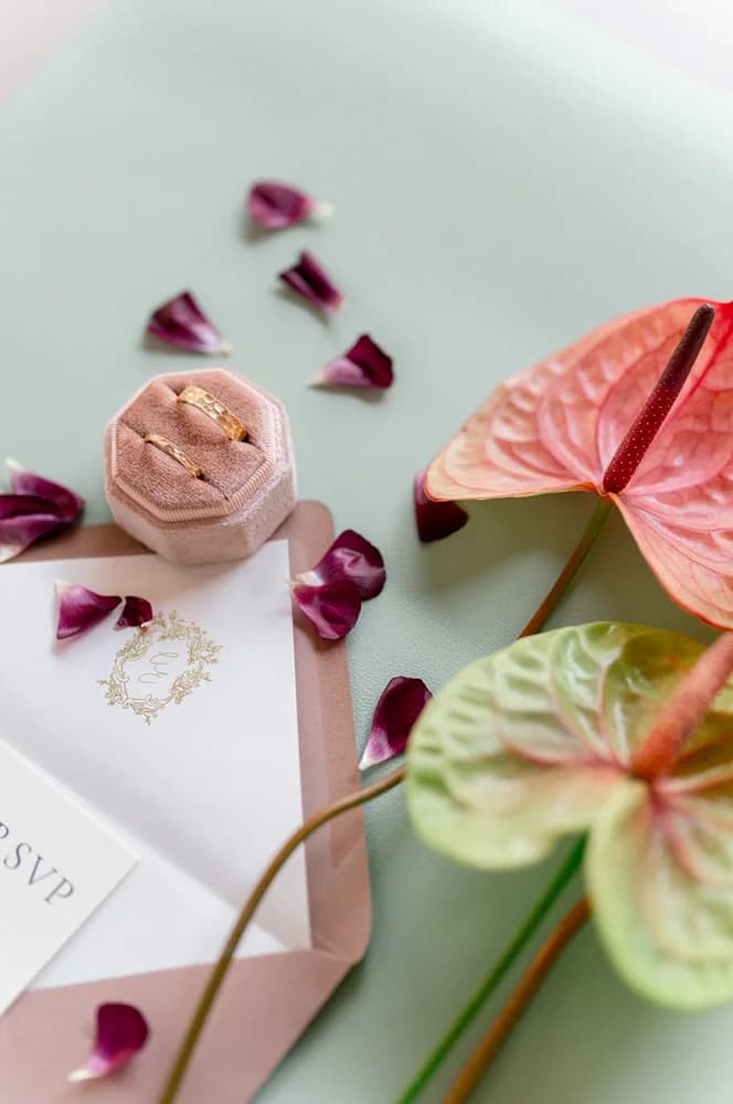 Coordination du Jour J Vert Aventurine